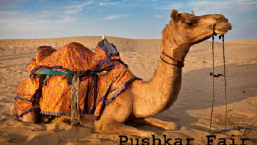 Experience the Spiritual Beauty with Camel Fair in Rajasthan